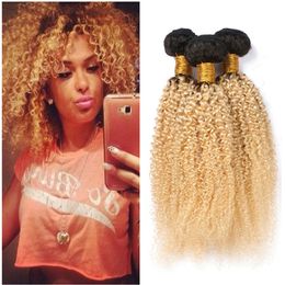 Blonde Kinkys Curly Hair Extensions 613 Brazilian Virgin Hair Weaves Two Tone 1b 613 Blonde Afro Kinky Hair Extensions 3Pcs/Lot