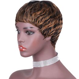 tiger Colour Human hair capless wigs short wigs none lace frontal wig 3inch tiger sofe braizilian hair ombre brown mix wig