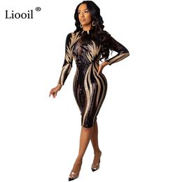 gold and black outfit for party