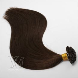 VMAE Blonde Keratin Fusion 613 blond 1 Set 100Strands 100g Pre bonded Unprocessed Straight U Tip Human Hair Extensions