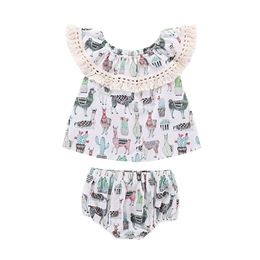 2020 Baby girls outfits Off Shoulder Tassel Lace Alpaca cactus print Tops+shorts 2pcs/set 2019 summer Boutique kids Clothing Sets C6098