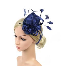 Colored Dingpu Feather Hair Mesh Headdress Stage Party Hairpin Top Hat
