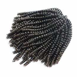 African Braiding Hair Crochet Dreadlocks Extensions Hairstyle Ombre Curly Braids