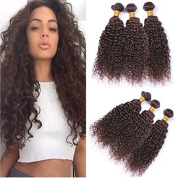 Dark Brown Peruvian Curly Human Hair Weave Bundles 3Pcs 300Gram Pure 4 Colour Kinky Curly Human Hair Extensions Chocolate Brown Hair Wefts