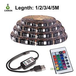 USB LED Strip DC 5V 2M Mini 24Key Remote control Flexible Light Lamp SMD5050 Desk Decor Screen TV Background Lighting