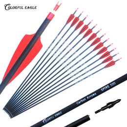 Archery Replaceable Arrowheads 28"/30"/31" Carbon arrow spine 500 Archery Hunting for compound recurve bows Target Practice