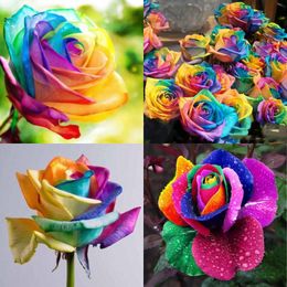 Romantic Wedding Packages Coupons Promo Codes Deals 2019 Get