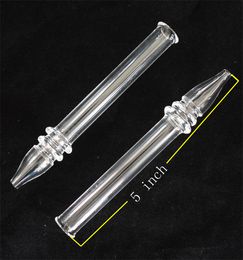 Quartz Rig Stick Nail with 5 Inch Clear Filter Tips Tester Quartz Straw Tube Glass Water Pipes Smoking Accessories