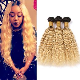 Blonde Ombre Peruvian Wet and Wavy Human Hair Bundles Dark Root #1B 613 Ombre Virgin Hair Extensions Water Wave Human Hair Weave Wefts