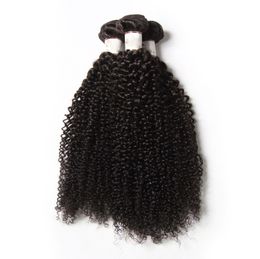 IRINA remy Brazilian peruvian malaysian mongolian indian Virgin hair kinky curly 8"-28"stock human hair extensions hair weave