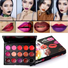 New Arrival popfeel 15 Colors Beauty Make Up Lipsticks Lip Gloss Cosmetic Set Moisturizer Fashion Lipstick Palette drop ship