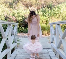 2020 Dollcake Pink Backless Flower Girl Dresses Long Sleeves For Weddings Kids Girl Pageant Gowns Knee Length Communion Dress Q76