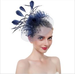 Bride's headdress, hat, mesh, hat, hairdress, feather, headdress, hairpin