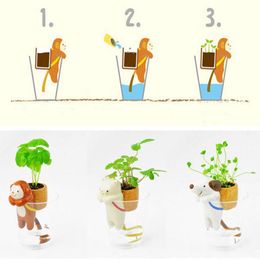 Ceramic Animal Tail Absorbent Indoor Potted Plants Small PottingTake the animal tail absorbent potted plant out of the box.
