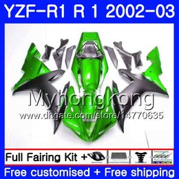 Bodys For YAMAHA YZF-1000 YZF R 1 YZF R1 2002 2003 Bodywork 237HM.41 YZF 1000 YZF-R1 02 stock green hot YZF1000 Frame YZFR1 02 03 Fairing