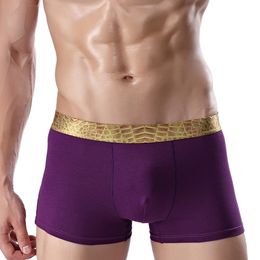 Fashion-Men's all-cotton boxer shorts high grade cotton pure men's underwear U convex fish leather business underwear.
