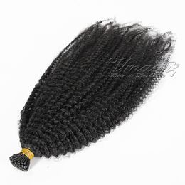 VMAE Indian Malaysian 1g Strand 100g Natural Colour Afro Kinky Curly Pre Bonded Keratin Stick I Tip Raw Virgin Human Hair Extensions