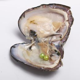 JNMM Süßwasser-Zuchtperlen Austern TWIN Runde Perle in Oyster Shell 7-8mm Mischfarben wünschen Perlen Accessoires Kinder-Party-Geschenk Überraschungs-Geschenk