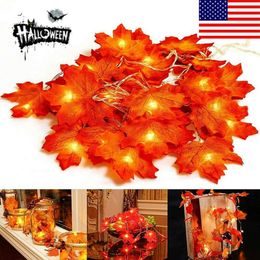 Shop Autumn Garland Uk Autumn Garland Free Delivery To Uk