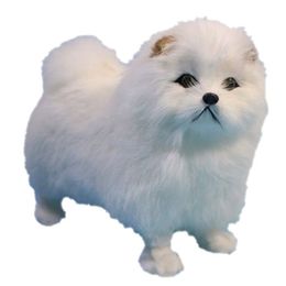 Simulation Animal Dog Decoration Plush Toy Mini Chow Chow Dog Animal Model Photography Props 16x20cm DY80055