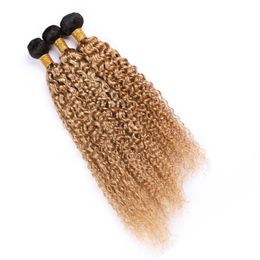 Ombre Honey Blonde Weaves Human Hair Bundles Peruvian Kinkys Curly Virgin Hair Extensions #1B 27 Light Brown Ombre Human Hair Wefts 300Gram