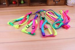 Dog Collars & Leashes Funlife New Rainbow Color Adjustable Nylon Dog pet Leash Lead Harness