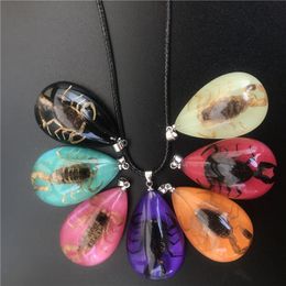 12pcs Natural Insect Fluorescent Necklace Black Scorpion Luminous Pendant Necklace Glow In The Dark Jewelry Party Gift Wholesale