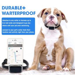 Localizzatore GPS Tractive per cani e gatti Inseguitore di animali per il tracciamento del cane accessorio per il collare impermeabile del collare per animali domestici Inseguitore di cani Localizzatore GPS Tractive per cani e gatti Inseguitore di animali per il tracciamento del cane accessorio per il collare impermeabile del collare per animali domestici Inseguitore di cani