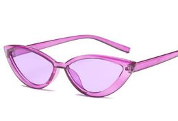 Wholesale-Cat Eye Style Clear Frame Sunglasses Women Purple Red Pink Summer Accessories for Beach Fashion Female Sun Glasses