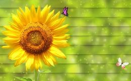 Beautiful 3D stereo sunflower TV background wall 3d stereoscopic wallpaper