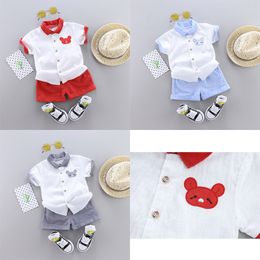 2019 trend style summer cotton Polo shirt Little bear pattern with short sleeve and shorts two pieces for boys and girls