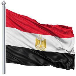 Custom 90x150cm Egypt Flag National Country Flag Banners 0.9mx1.5m Flying Hanging Polyester Printing with Good Quality