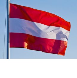 High Quality Austria Flag 90x150cm Custom 3x5 ft Austrian National Flag Banner AUT 1.5x0.9m Flags of Austria Polyester Printing