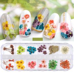 12 Colour Nails Art Decorations star sun small daisy Colours dried flower decoration 24 nail dry flowers beauty DIY free ship 5