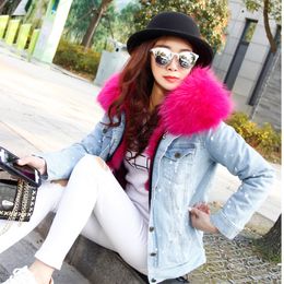 Fashion women snow jackets with ykk zipper Cold resistant rose raccoon fur trim rose fox fur lining mini light blue hole denim parkas