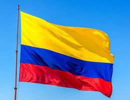 Colombian Flag 3x5 ft Custom National Country Flags of Colombia Good Quality Flying Hanging 0.9x1.5m Banner DropShipping
