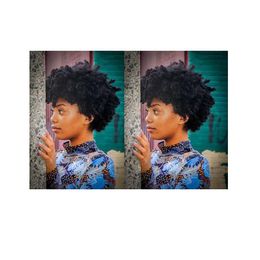 Fashion hairstyle soft Indian Hair afro African American short kinky curly black wigs Simulation Human Hair curly wigs for lady