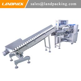 Large Flow Packing Machine for All Kind of Fruit and Vegetable Packing Efficient