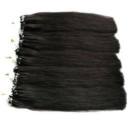 Micro Ring Loop Hair Extensions 100% Real Human Hair 100G Remy Brazilian Straight Loop Micro Ring Human Hair Extensions