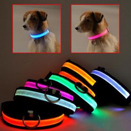 light up cat collar uk