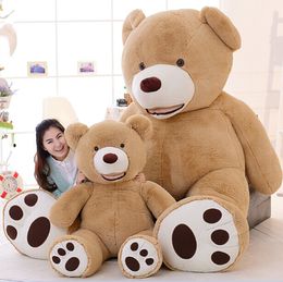 giant teddy nz