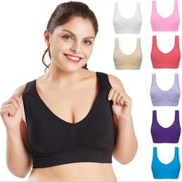 sports bra 42 size