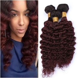 #1B/99J Wine Red Ombre Deep Wave 3Bundles Malaysian Hair Black to Burgundy Ombre Deep Wave Curly Virgin Human Hair Weave Wefts 10-30"