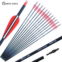 3" Plastic Vanes 28/30/31-Inch Carbon Arrows Spine 500 with Replaceable Arrowheads points for Recurve Bow and Compound Bow Arrow Hunting shooting