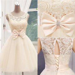 2019 Champagne Short Knee Length Homecoming Dresses With Bow Sash Crew Neck Lace Up Mini Graduation Gowns Short Bridesmaid Dresses