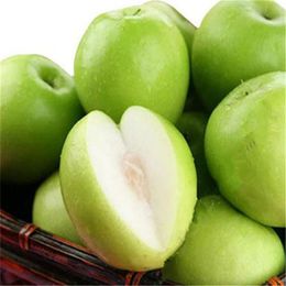 Shop Jujube Trees Uk Jujube Trees Free Delivery To Uk Dhgate Uk