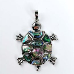 Ocean Themed Jewellery Paua Abalone Shell Turtle Pendant Beach Inspired Jewelry for Women Men 5 Pieces