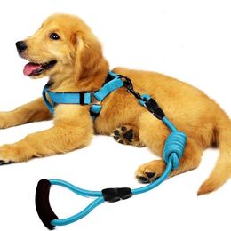 Dog Leash Harness Set, Durable Adjustable Heavy Duty No Pulling Dog Harness + Leash for Pet Dog Training Walking Running.