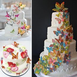 Wholesale Butterfly 3d Cake For Resale Group Buy Cheap Butterfly