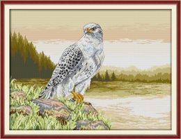 Ambitious Falcon animal home decor painting ,Handmade Cross Stitch Craft Tools Embroidery Needlework sets counted print on canvas DMC 14CT /11CT